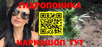 каннабис Будённовск